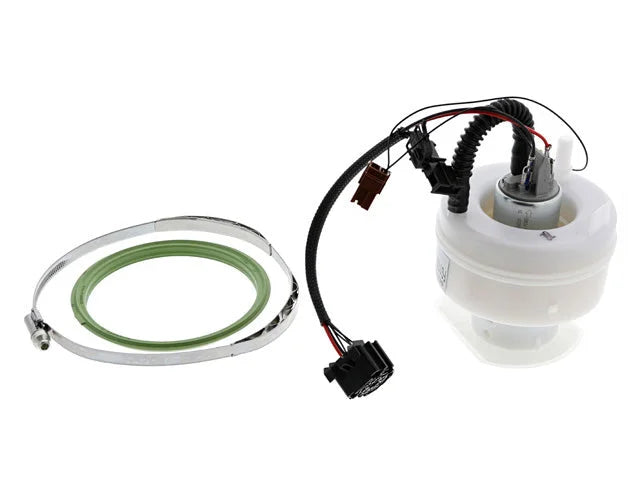 Delphi Fuel Pump