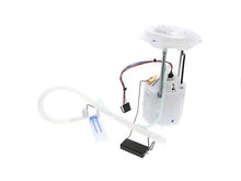 Load image into Gallery viewer, Delphi Fuel Pump Assembly