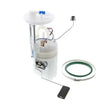 Load image into Gallery viewer, Delphi Fuel Pump Assembly