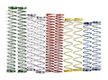 Load image into Gallery viewer, Demon Fuel Systems Complete assortment - two each of five different kinds of springs 1937DEM