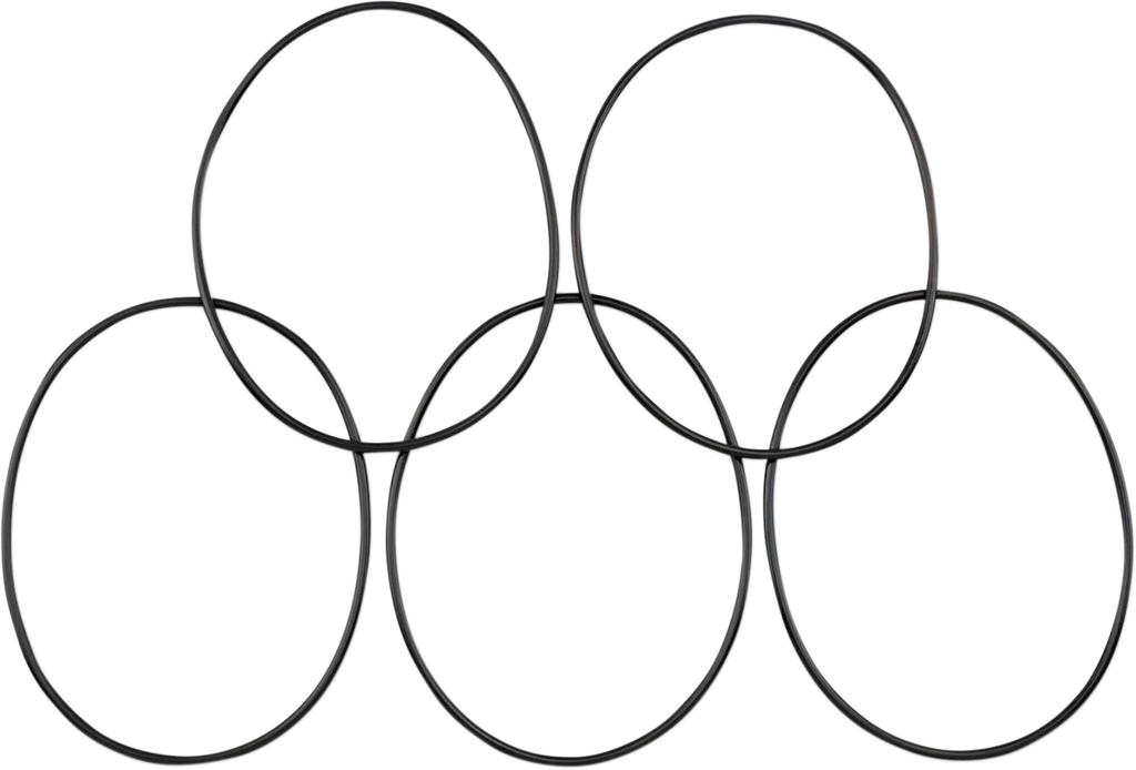 Derby Cover O-Ring James Gasket 54122-14-VIC - Main Product View