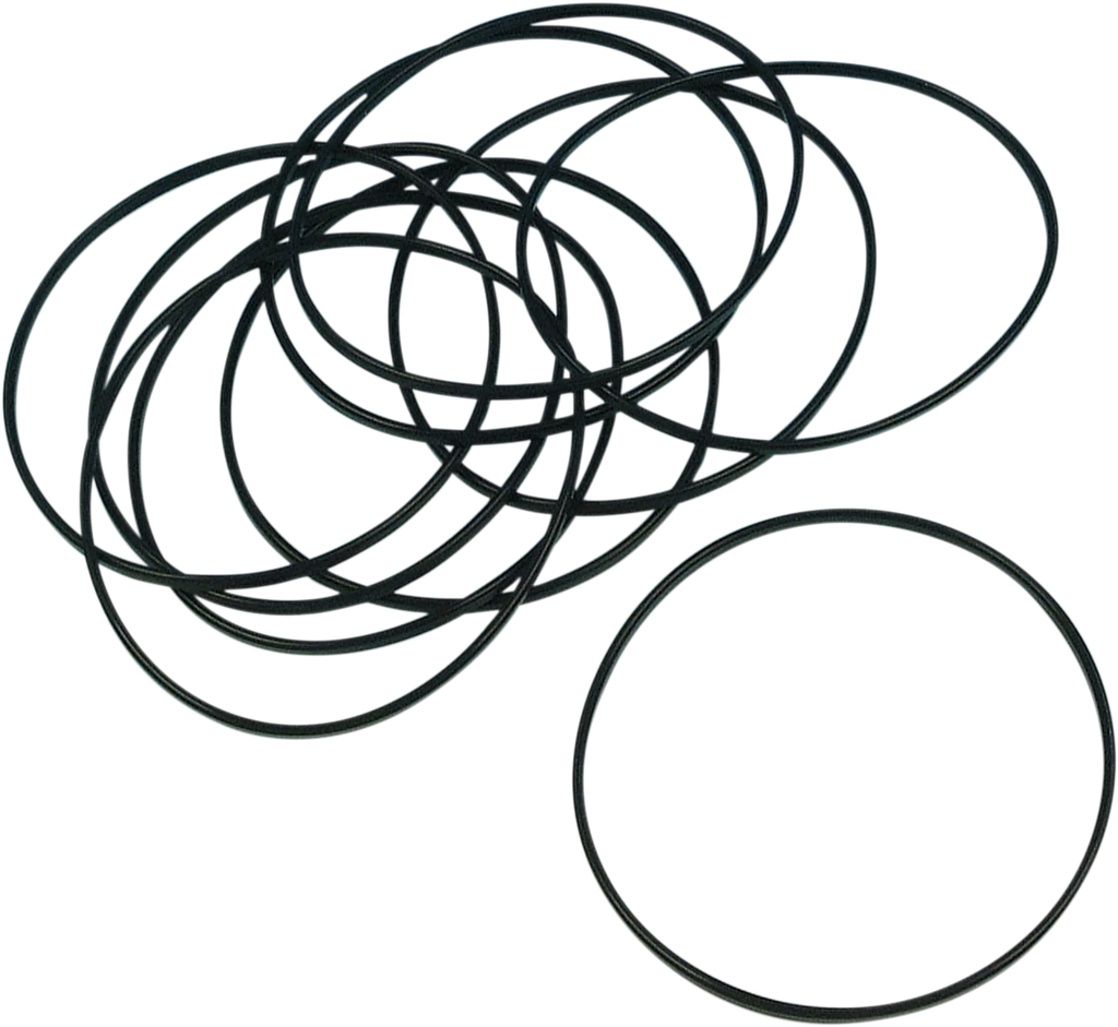 Derby Cover O-Ring - XL James Gasket JGI-25463-94 - Main Product View