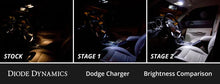 Load image into Gallery viewer, Diode Dynamics 06-10 Dodge Charger Interior LED Kit Cool White Stage 2 - Back View