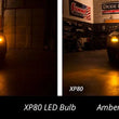 Load image into Gallery viewer, Diode Dynamics 1157 LED Bulb XP80 LED - Amber (Single) - Additional View 5