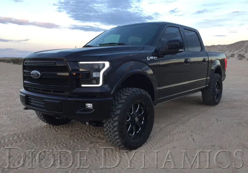 Diode Dynamics 15-17 Ford F-150/17-19 Ford Raptor Switchback LED Boards - Side View