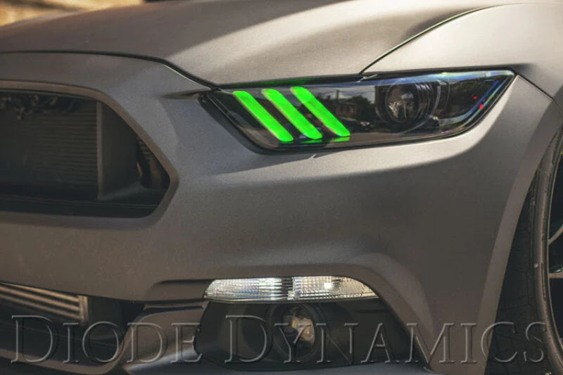 Diode Dynamics 15-17 Ford Mustang RGBW DRL LED Boards - Back View