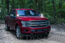 Load image into Gallery viewer, Diode Dynamics 15-20 Ford F-150/Raptor Pro SS3 LED Ditch Light Kit - White Combo - Additional View 5
