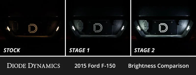 Diode Dynamics 15-20 d F-150 Interior LED Kit Cool White Stage 2 - Side View