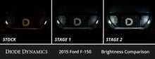 Load image into Gallery viewer, Diode Dynamics 15-20 d F-150 Interior LED Kit Cool White Stage 2 - Side View