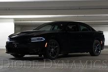 Load image into Gallery viewer, Diode Dynamics 15-21 Dodge Charge LED Sidemarkers - Clear (set) - Additional View 8
