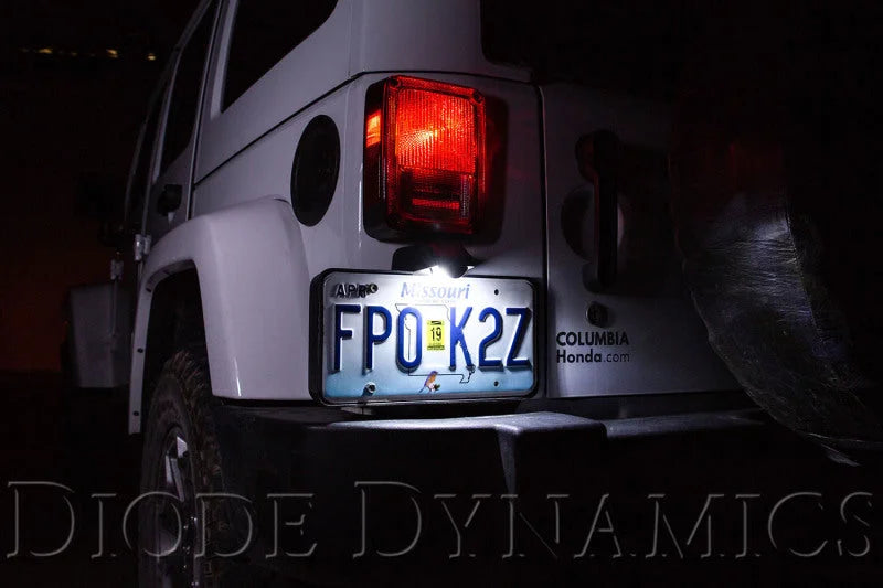 Diode Dynamics 194 LED Bulb HP3 LED - Cool - White (Single) - Installation View