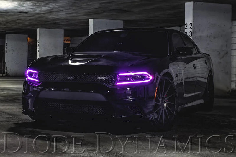 Diode Dynamics 2015-2018 Dodge Charger RGBW DRL LED Boards - Back View