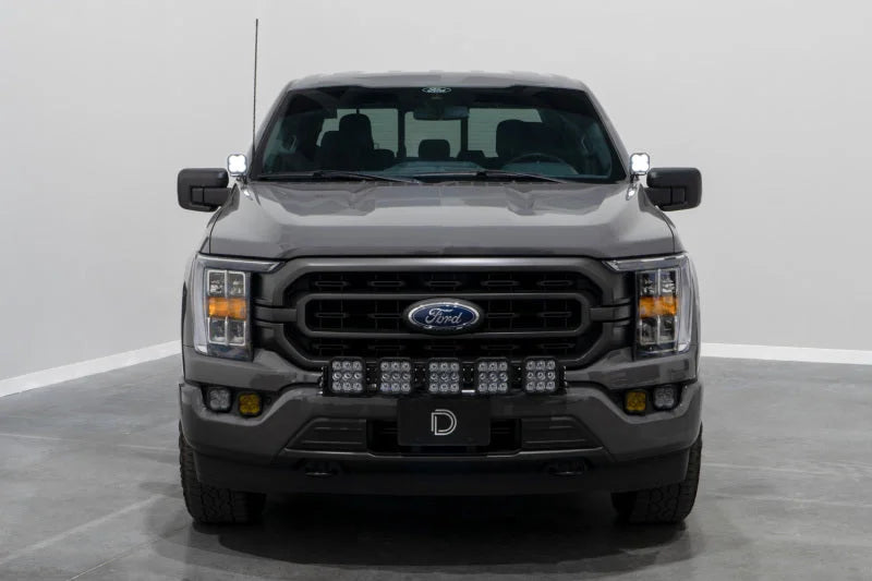 Diode Dynamics 21-22 Ford F-150 SS3 Stage Series Backlit Ditch Light Kit - Pro White Combo - Additional View 6