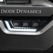 Load image into Gallery viewer, Diode Dynamics 21-23 Ford F-150 Elite Fog Lamps - Yellow - Additional View 6