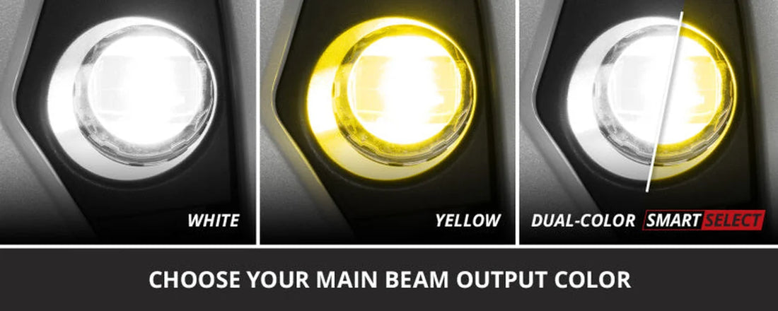 Diode Dynamics 24-25 Ford Mustang Elite Series Fog Lamp Kit - Back View