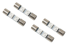 Load image into Gallery viewer, Diode Dynamics 28mm SMF2 LED Bulb - Red Set of 4 - Main Product View