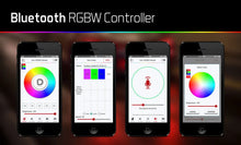 Load image into Gallery viewer, Diode Dynamics - Bluetooth RGBW M8 Controller 1ch - Additional View 6