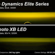 Load image into Gallery viewer, Diode Dynamics Elite Foglamp Type F2 - White (Pair) - Additional View 6