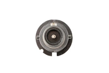 Load image into Gallery viewer, Diode Dynamics HID Bulb D2S 8000K (Pair) - Side View