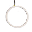 Load image into Gallery viewer, Diode Dynamics Halo Lights LED 130mm - Red (Single) - Main Product View
