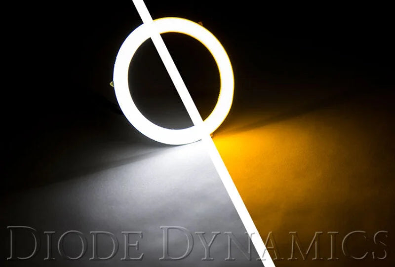 Diode Dynamics Halo Lights LED 50mm Switchback (Pair) - Installation View