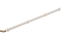 Load image into Gallery viewer, Diode Dynamics LED Strip Lights High Density SF - Red 9 In - Main Product View