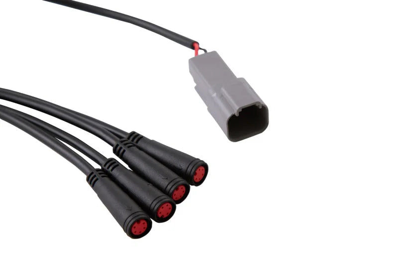 Diode Dynamics RGBW 24-Key M8 RF Controller - Additional View 5