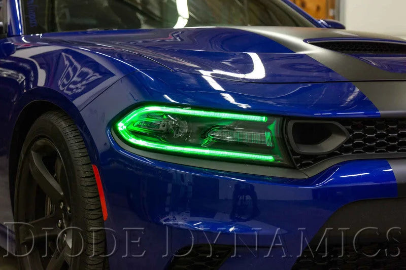 Diode Dynamics RGBW DRL LED Boards for 2019-2021 Dodge Charger - Back View