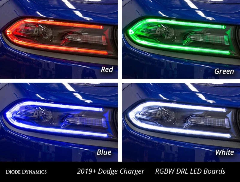 Diode Dynamics RGBW DRL LED Boards for 2019-2021 Dodge Charger - Installation View
