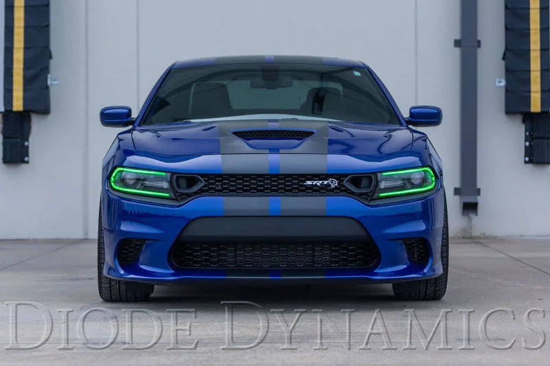 Diode Dynamics RGBW DRL LED Boards for 2019-2021 Dodge Charger - Additional View 6
