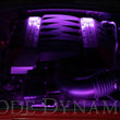 Load image into Gallery viewer, Diode Dynamics RGBW Engine Bay Strip Kit 2pc Multicolor - Main Product View