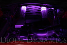 Load image into Gallery viewer, Diode Dynamics RGBW Engine Bay Strip Kit 2pc Multicolor - Main Product View