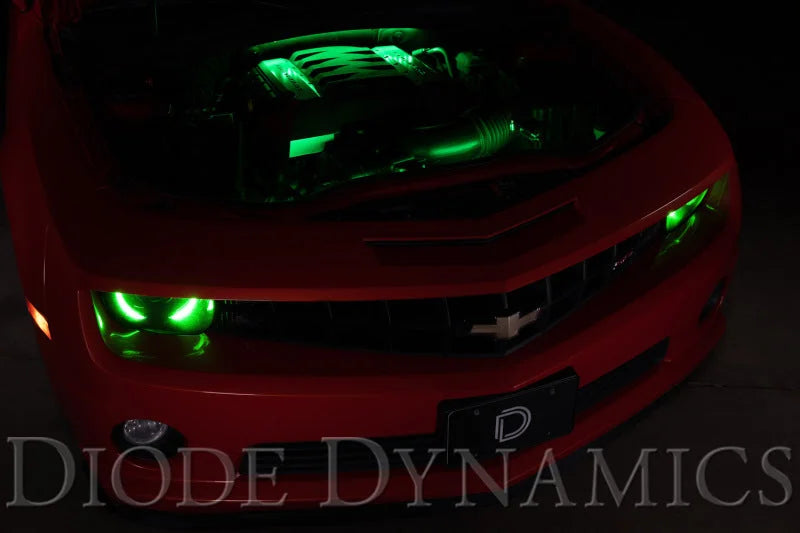Diode Dynamics RGBW Engine Bay Strip Kit 2pc Multicolor - Back View