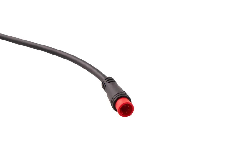 Diode Dynamics RGBW M8 5-Pin Splitter Wire - 1 - Back View