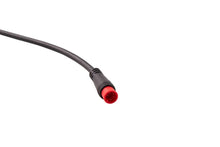 Load image into Gallery viewer, Diode Dynamics RGBW M8 5-Pin Splitter Wire - 1 - Back View