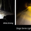 Load image into Gallery viewer, Diode Dynamics Ram 2013 SportExpress Stage Series 6 In Kit - White Driving - Back View