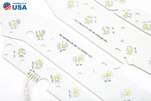 Load image into Gallery viewer, Diode Dynamics Ram SB LED Boards 13-16 Dodge Ram - Additional View 6