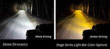 Load image into Gallery viewer, Diode Dynamics Raptor 2017 Stage Series Fog Kit 12 - White Driving - Side View