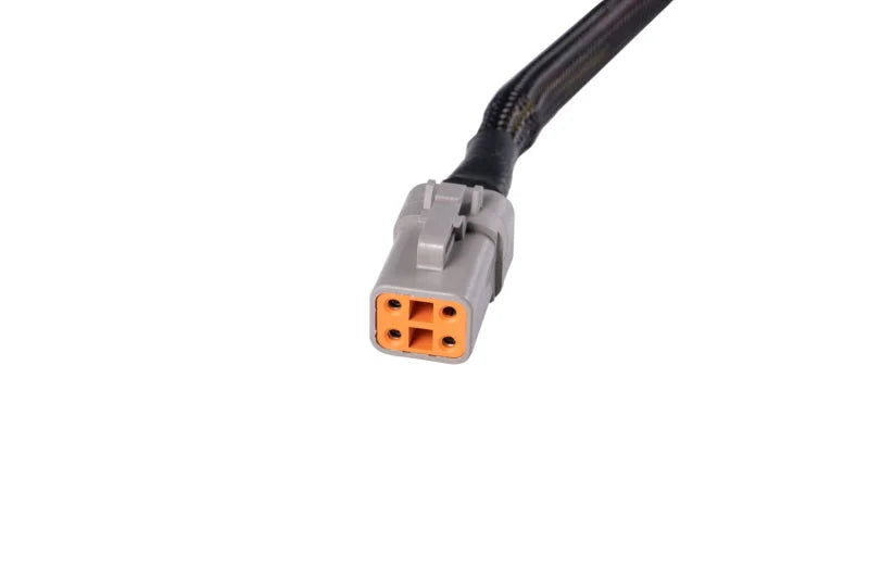 Diode Dynamics SS5 Ultra Heavy Duty Terminating Splitter Harness (Single) - Back View