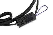 Load image into Gallery viewer, Diode Dynamics Stage Series C1R 7-pin Dual-Output Trailer Wiring Harness - Additional View 5