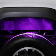 Load image into Gallery viewer, Diode Dynamics Stage Series RGBW LED Rock Light Kit (8-pack) - Additional View 9