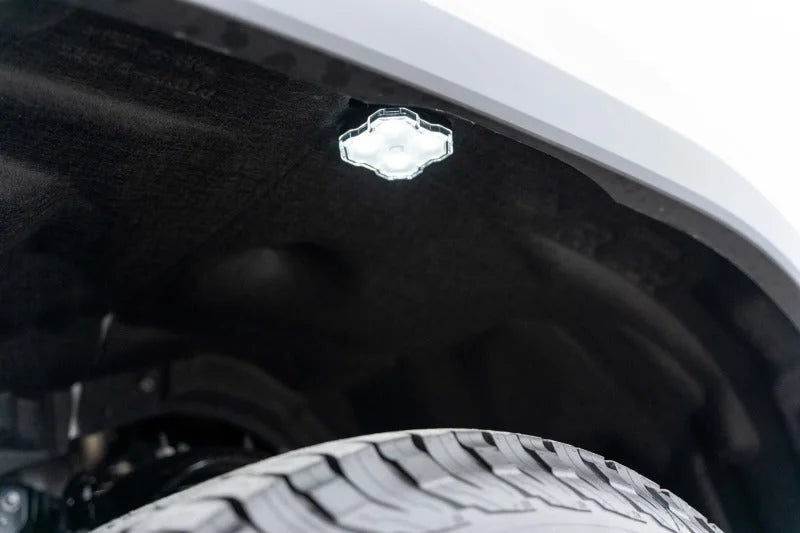 Diode Dynamics Stage Series RGBW LED Rock Light Kit (8-pack) - Installation View