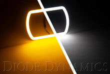 Load image into Gallery viewer, Diode Dynamics Switchback Rounded Rectangle Halos - Back View