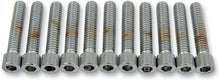Load image into Gallery viewer, Drag Specialties Bolts - Socket-Head - Smooth - 1/4-20 x 1-1/4" - Main Product View