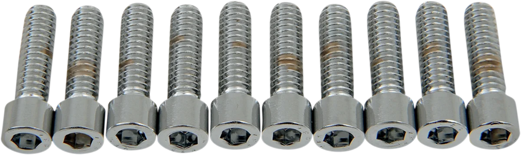 Drag Specialties Bolts - Socket-Head - Smooth - 1/4-20 x 7/8" - Main Product View