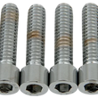 Load image into Gallery viewer, Drag Specialties Bolts - Socket-Head - Smooth - 1/4-20 x 1" - Main Product View