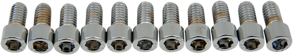 Drag Specialties Bolts - Socket-Head - Smooth - 5/16-18 x 5/8" - Main Product View