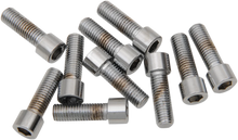 Load image into Gallery viewer, Drag Specialties Bolts - Socket-Head/Replacement - Smooth/Fine Thread - 1/4"-28 x 3/4" - 10 Pack - Main Product View