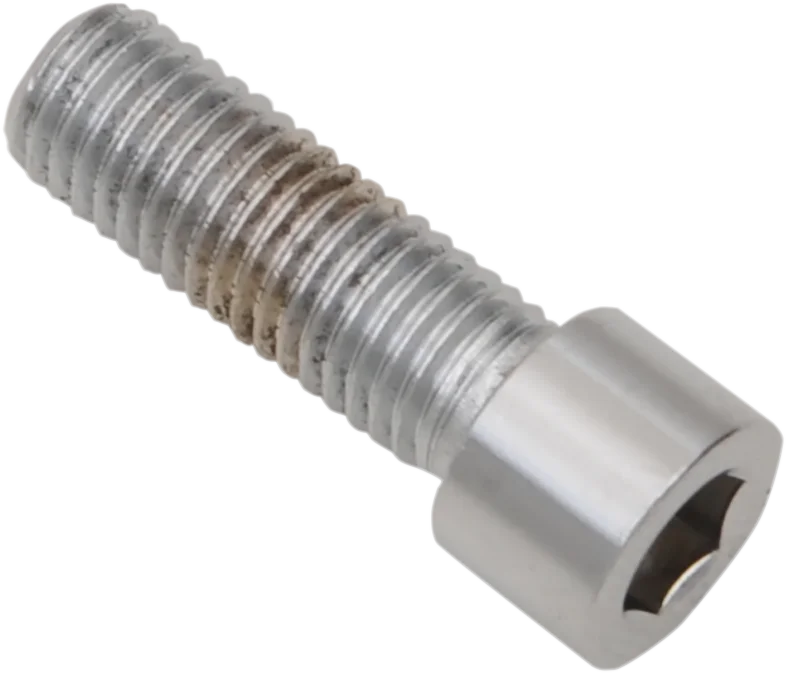 Drag Specialties Bolts - Socket-Head/Replacement - Smooth/Fine Thread - 1/4"-28 x 5/8" - 10 Pack - Back View