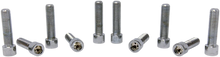 Load image into Gallery viewer, Drag Specialties Bolts - Socket-Head/Replacement - Smooth/Fine Thread - 3/8"-24 x 1-3/4" - 10 Pack - Main Product View
